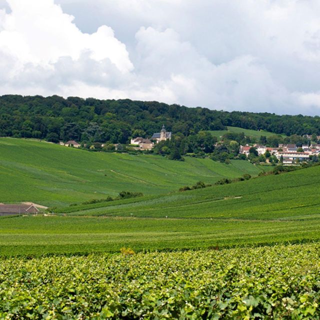 Marne: Champagne Region Private Day Tour With Lunch - Key Points