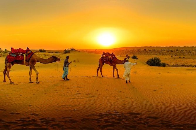Marrakech Day Trip to Agafay Desert, Atlas Mountains & Camel Ride - Just The Basics