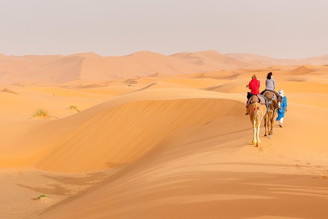 Marrakech to Fez via Merzouga Desert 3-Days Sahara Tour - Tour Overview