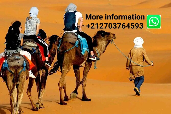 Merzouga Camel Riding & Overnight Stay in Luxury Camp - Key Points