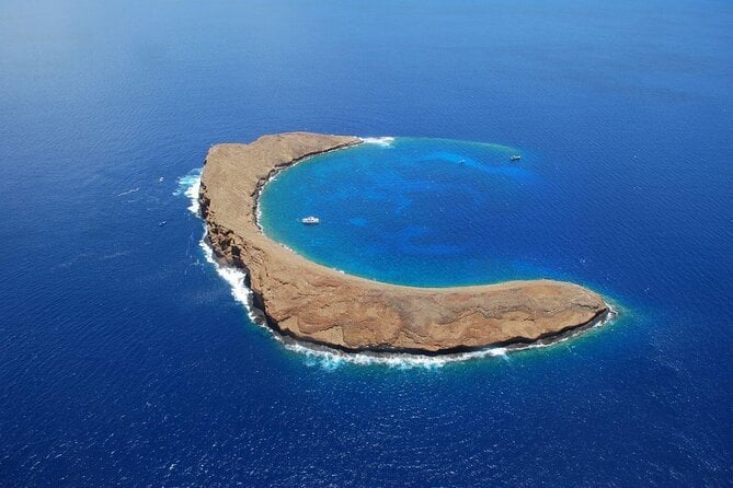 Molokini Crater Zodiak Adventure - Snorkel and Turtle Cove Swim - Just The Basics