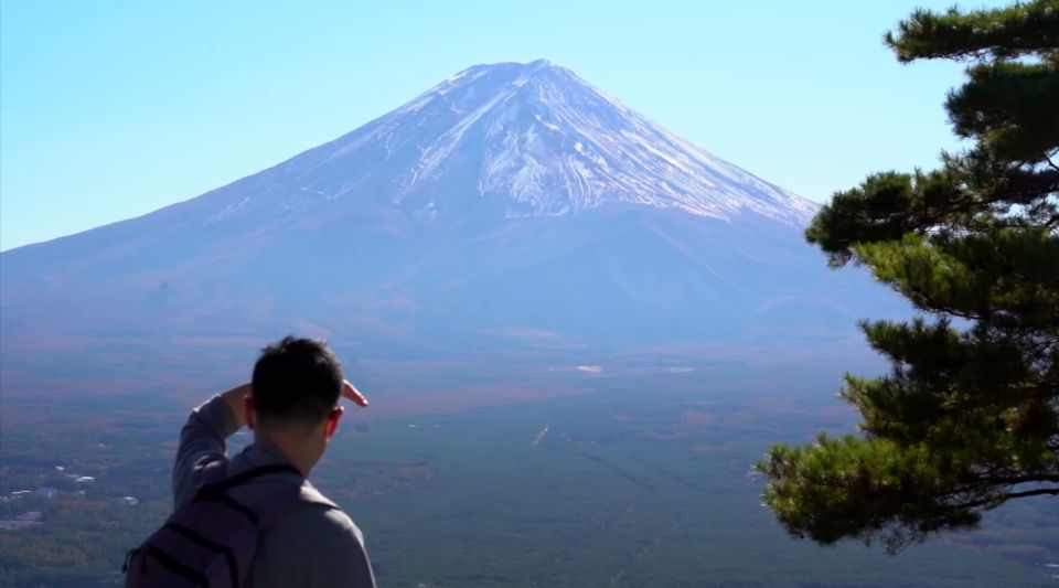 Mt Fuji & Hakone: Sightseeing Private Day Tour With Guide - Key Points