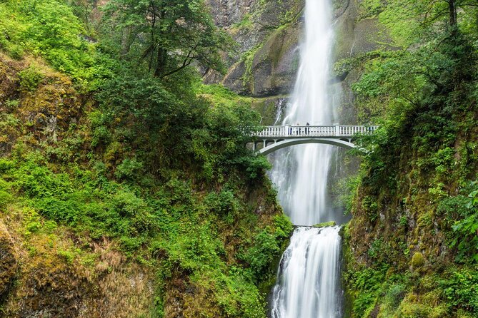 Multnomah Falls Ebiking Tour to 6 Columbia River Gorge Waterfalls