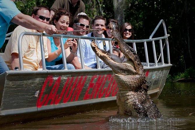 New Orleans Swamp and Bayou Boat Tour With Transportation - Just The Basics