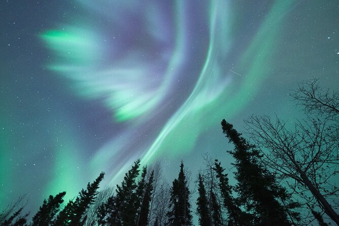 Northern Lights Viewing at Murphy Dome - Key Points
