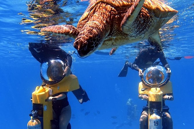 Oahu Submarine Scooter Adventure - Just The Basics