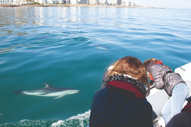 Ocean Wildlife Encounter in Cape Town