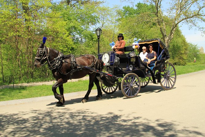 Official NYC Horse Carriage Rides in Central Park Since 1979 ™ - Just The Basics