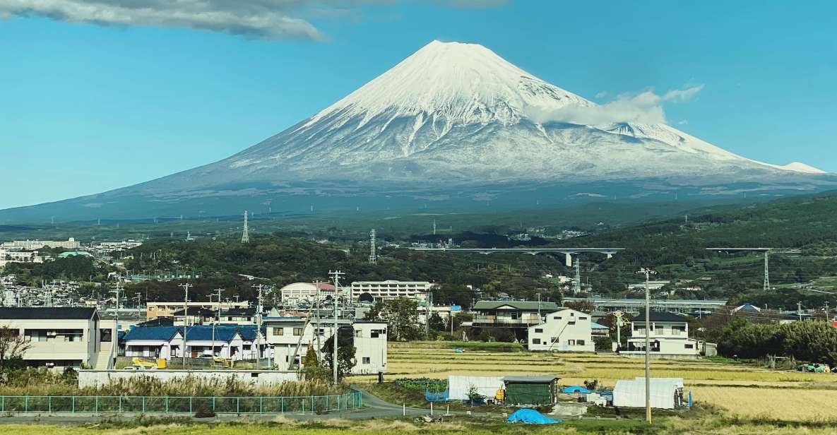 One Day Private Tour to Mt Fuji & Hakone With English Driver - Tour Overview