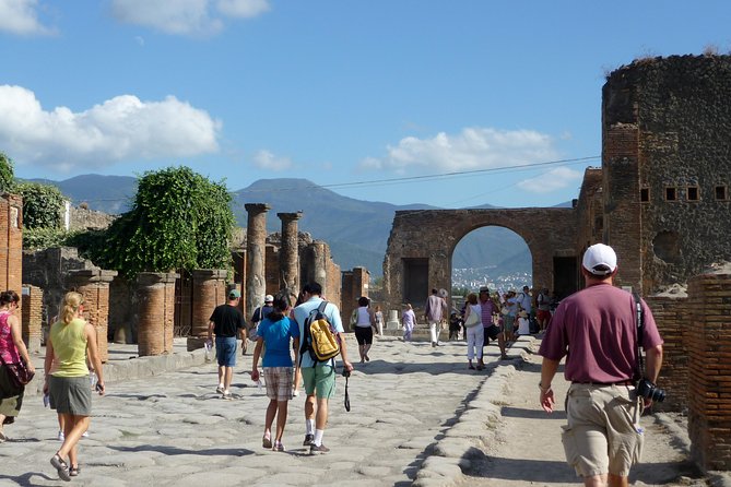 Pompeii Vesuvius Day Trip From Naples+Italian Light Lunch - Just The Basics
