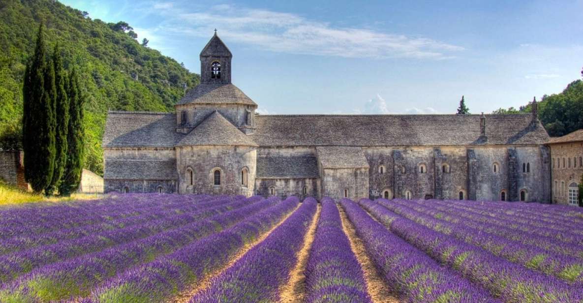Private Lavender of Provence Tour - Just The Basics