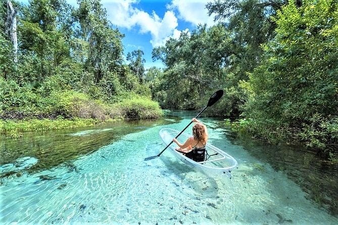 Rock Springs 2-Hour Glass Bottom Guided Kayak Eco Tour - Just The Basics