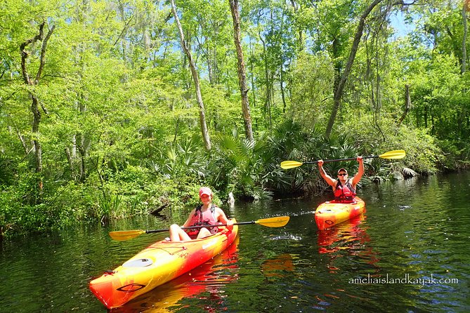Self Guided Family Friendly Kayak Rental Experience Old Florida - Key Points