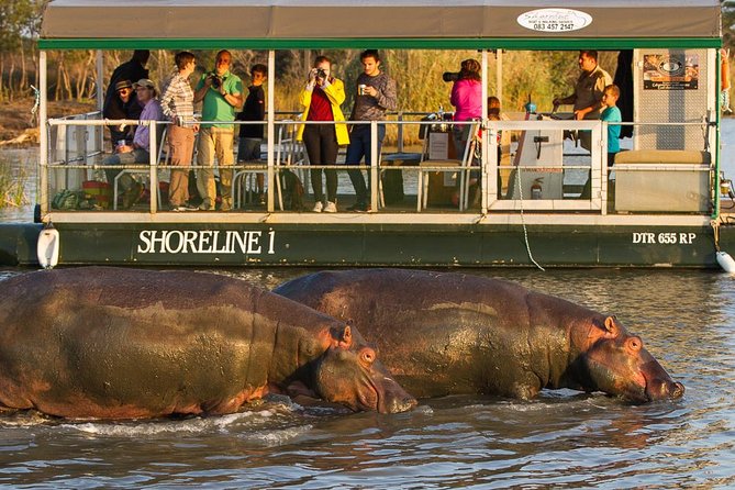 Shoreline Hippo and Crocodile Boat Cruises, Isimangaliso Wetland Park - Overview of the Wetland Park