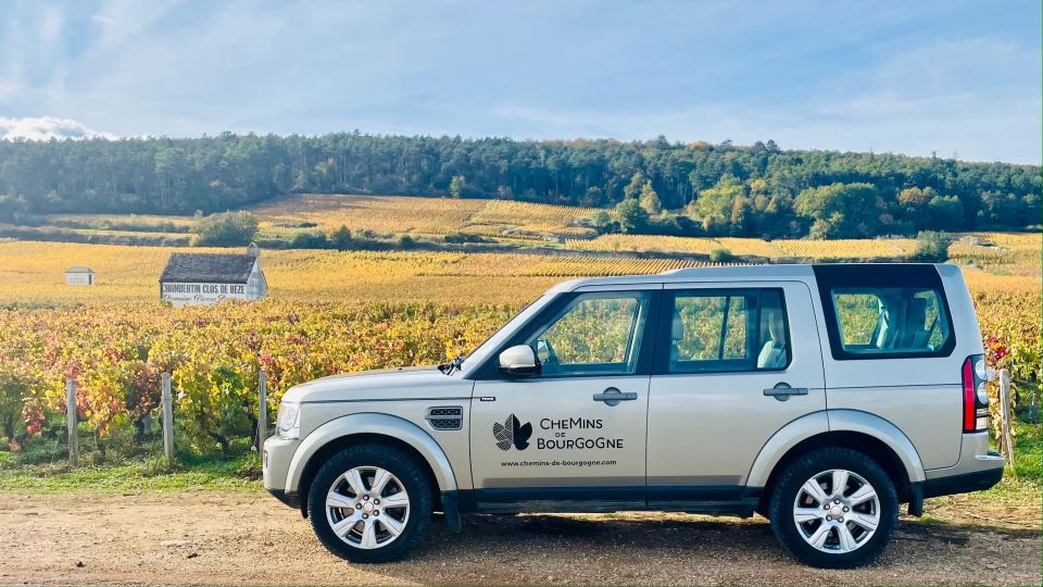 Small Group Full Day Tour in the Burgundy Vineyards - Tour Details