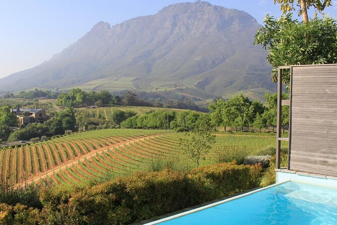 Stellenbosch & Franschhoek 20 Wine Tasting + Lunch Shared Tour - Key Points