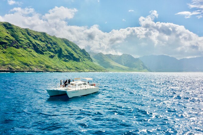 Swim With Dolphins in the West Coast Line of Oahu - Just The Basics