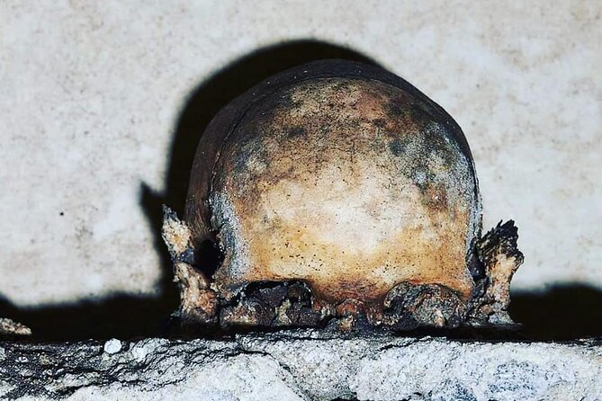 The Skull With the Ears: the Cult of the Dead in the Church of S. Luciella - Key Points