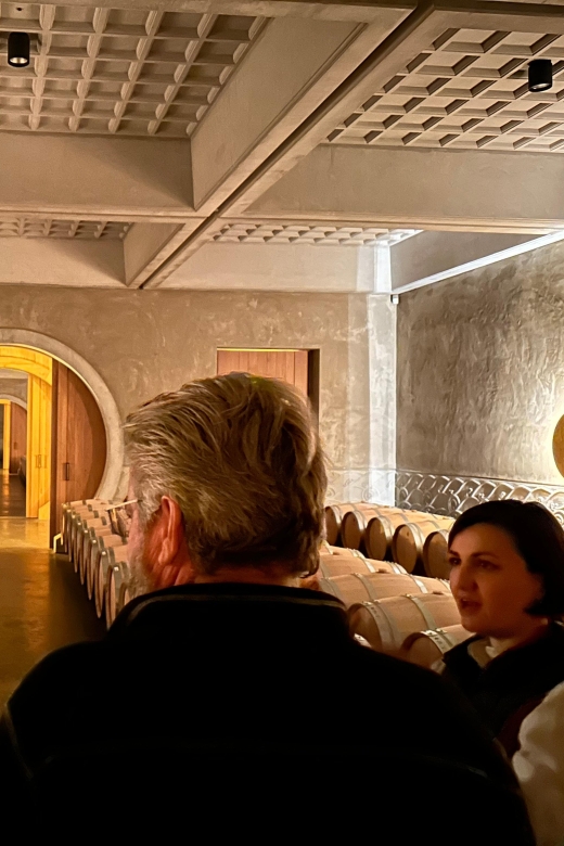 The Ultimate Wine Tour for 1855 Classified Chateaux - Just The Basics