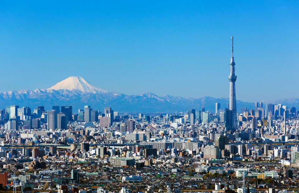 Tokyo, Fuji, Hakone, Kamakura: Private Guide & Car Full-Day Trip - Key Points
