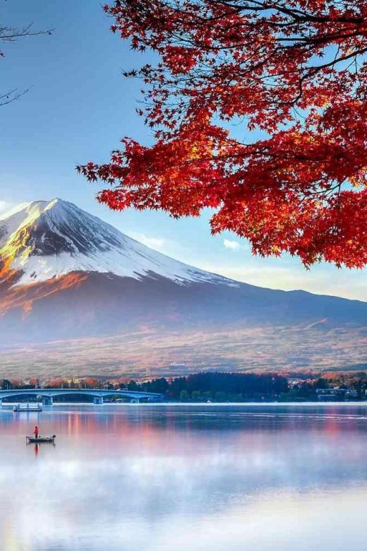 Tokyo: Onsen, Arts, and Nature Day Trip to Fuji and Hakone - Panoramic Viewpoints