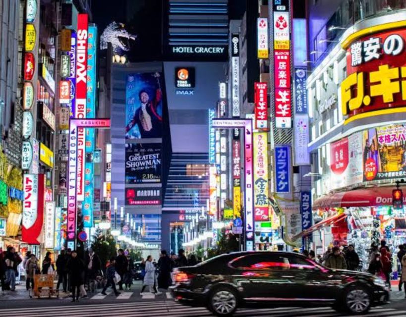 Tokyo Private Sightseeing Customized Day Tour by Car and Van - Key Points