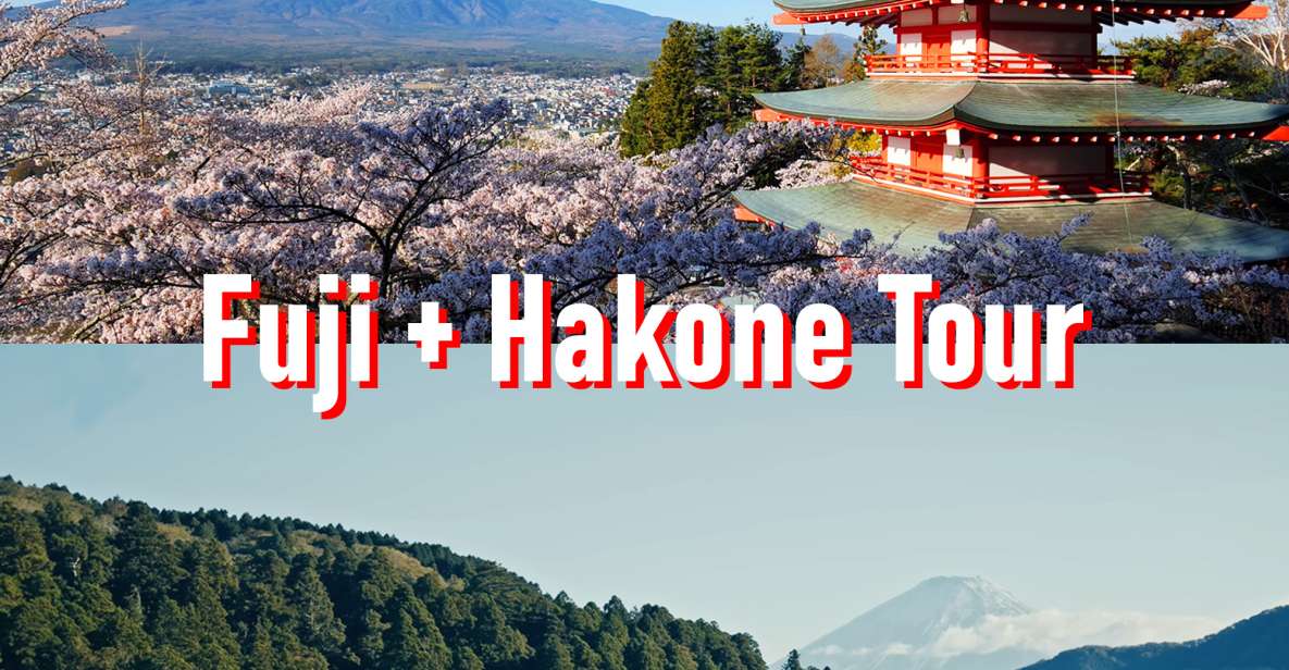 Tokyo to Mount Fuji and Hakone: Private Full-Day Tour - Key Points