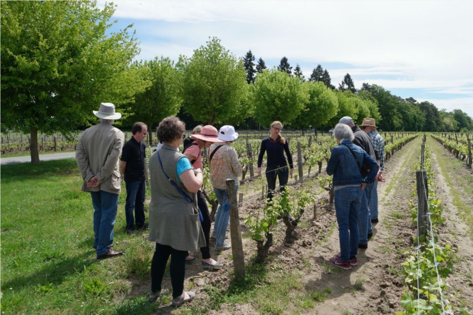 Tours/Amboise: Private Day Trip Chambord, Blois & Cheverny - Just The Basics