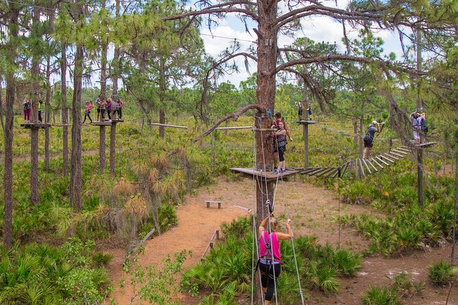 TreeUmph Adventure Course - Just The Basics
