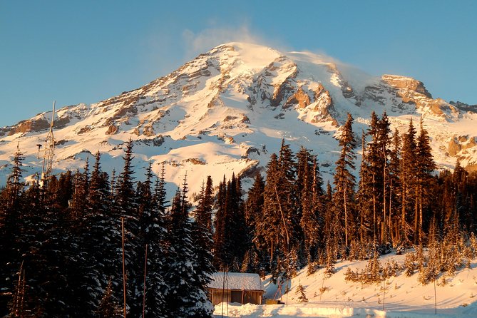 Viator Exclusive Day-Tour From Seattle to Mt. Rainier - Just The Basics