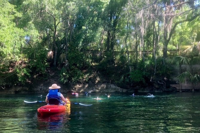 Wekiva River Guided Kayak Tour - Key Points