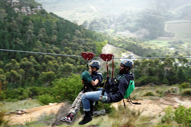 Zipline Cape Town - From Foot of Table Mountain Reserve - Just The Basics