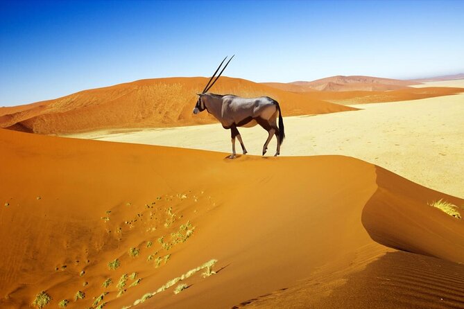 10-DAY Namibia Hightlights Guided Tour From Windhoek - Key Points