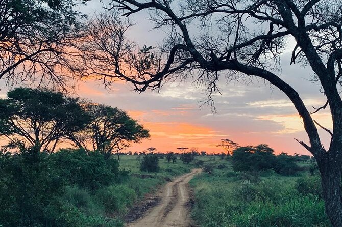 03 Days Serengeti and Ngorongoro Crater Group (Camping)