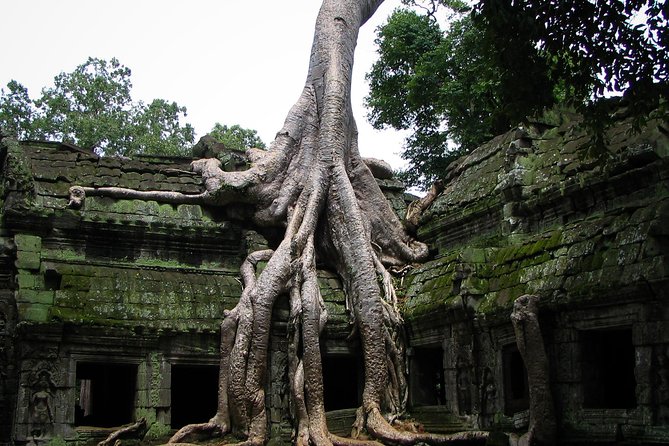 1-Day Amazing Angkor Wat Tour With Sunrise & All Interesting Major Temples - Tour Overview