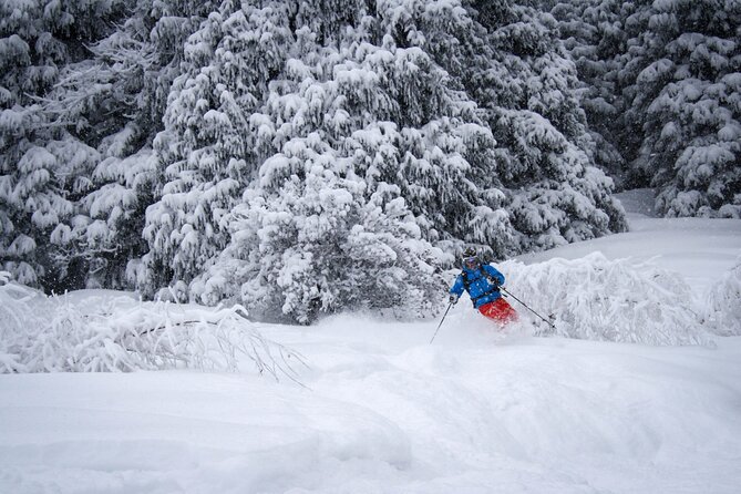1-day-backcountry-tour-tour-overview