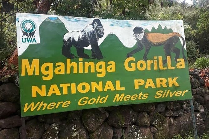 1 Day Gorilla Trekking Uganda - Inclusions and Exclusions