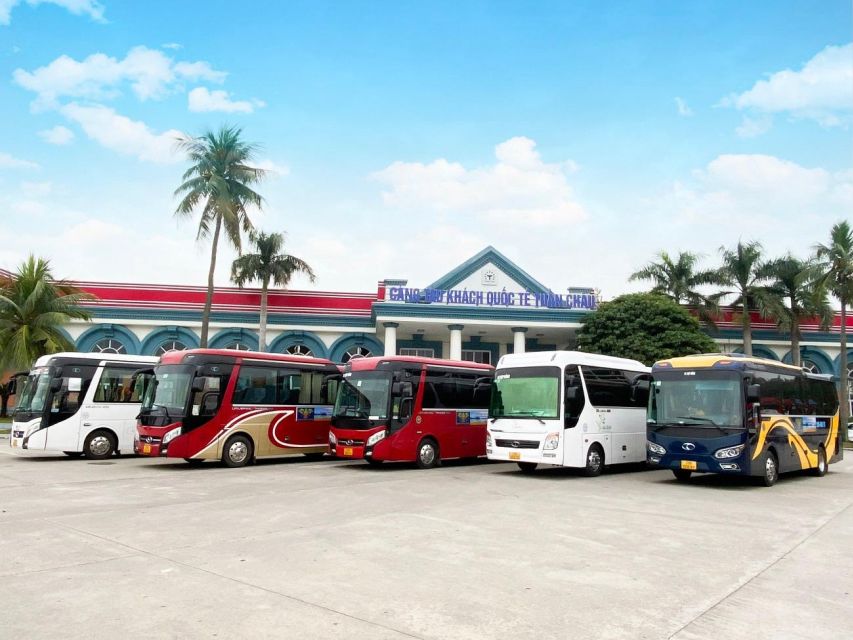 1-Day Halong Bay Cruise/Bus/Lunch/Entrance Fees - Tour Duration and Pickup