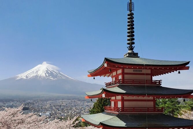 1 Day Private Mount Fuji Tour With English Speaking Driver
