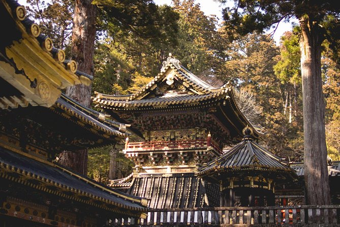 1-day-private-nikko-world-heritage-tour-charter-english-speaking-driver-pickup-and-drop-off