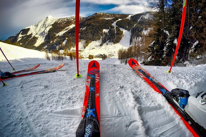 1-Day Private Ski Lesson From Tokyo With Mt. Fuji Sightseeing - Overview of the Experience