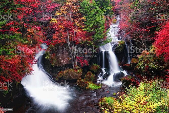 1 Day Tour to Nikko From Tokyo by Chartered Car