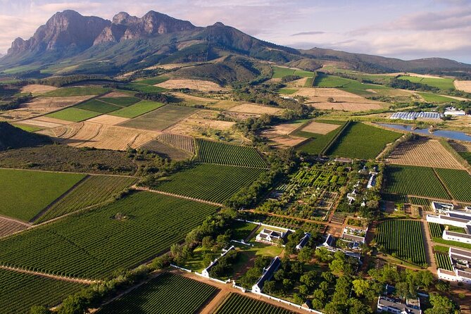 1 Day Winelands Explore - Cape Wine Region With Private Transfer