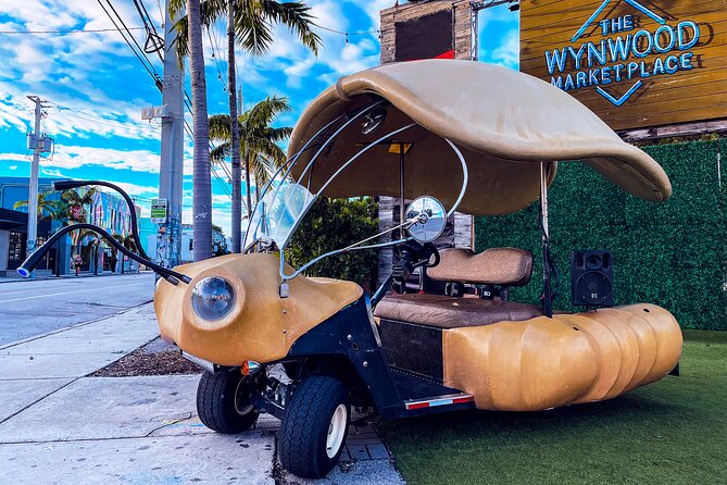 1 Hour Lady Buggy Art Tour Experience in Wynwood - Tour Details