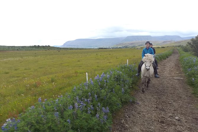 1+ Hour Private Horse Riding Tour From Reykjavik/Mosfellsbaer - Tour Overview