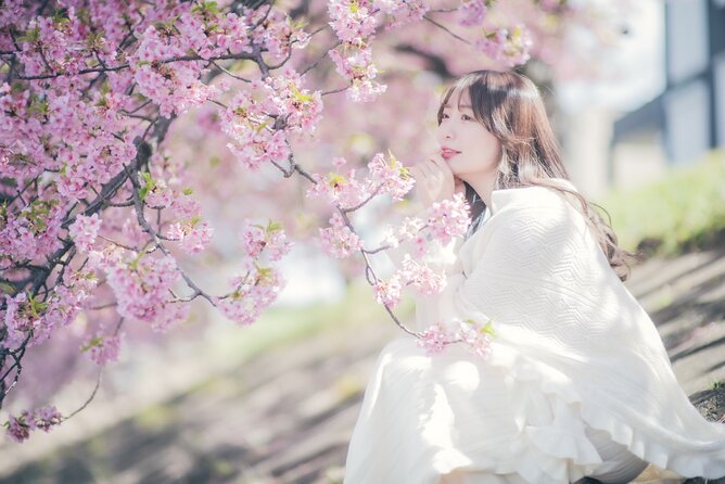 1 Hour Private Photoshoot in Kanazawa - Overview