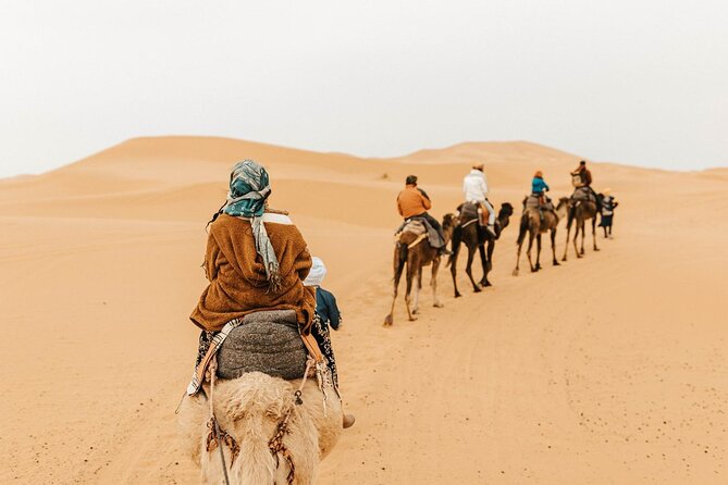 1 Night Camel Trek Over Erg Chebbi Dunes Merzouga No Extra - Camel Riding Through the Desert