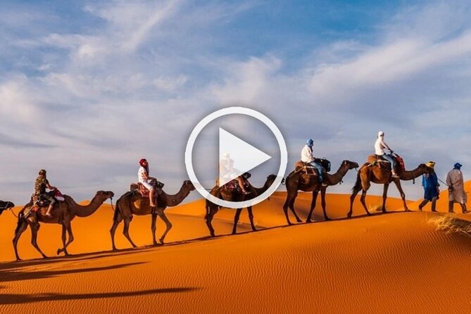 1 Night Camel Trekking in Merzouga - Camel Ride Through the Desert