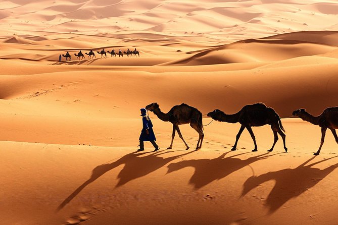 10-Day Luxury Private Vacation Package in Morocco - Package Highlights