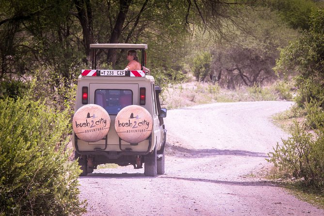 12-days-best-of-kenya-and-tanzania-safari-luxury-iconic-landscapes
